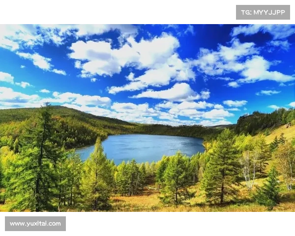 探索永歌森林的五大自然奇观不可错过的景点推荐 探索永歌森林的五大自然奇观不可错过的景点推荐