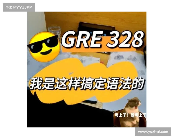 从基础到高级全面掌握法宝应用技巧的实用教程