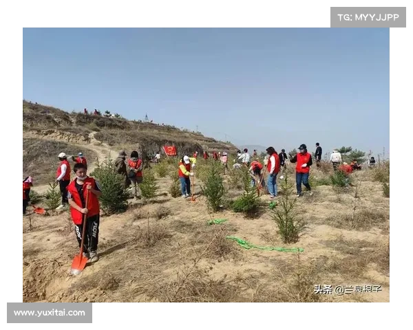 高原地区社工服务成功的关键因素与创新实践探索