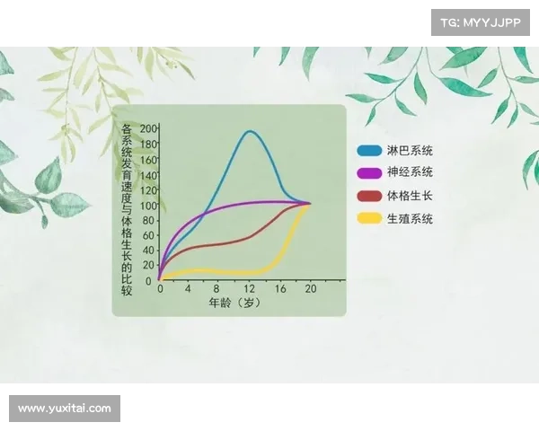 七大技能加点方法全面提升个人实力实现快速成长与突破