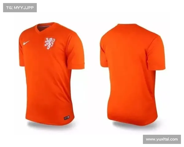 从橙色传统到视觉革新浅析荷兰队2022世界杯球衣色彩策略决策 从橙色传统到视觉革新浅析荷兰队2022世界杯球衣色彩策略决策